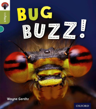 Bug Buzz!