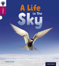 A Life in the Sky