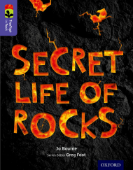 Secret Life of Rocks