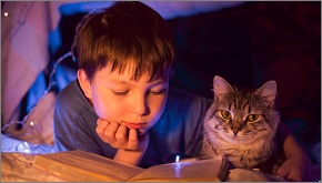 Build a reading den