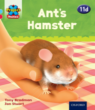 Ant's Hamster